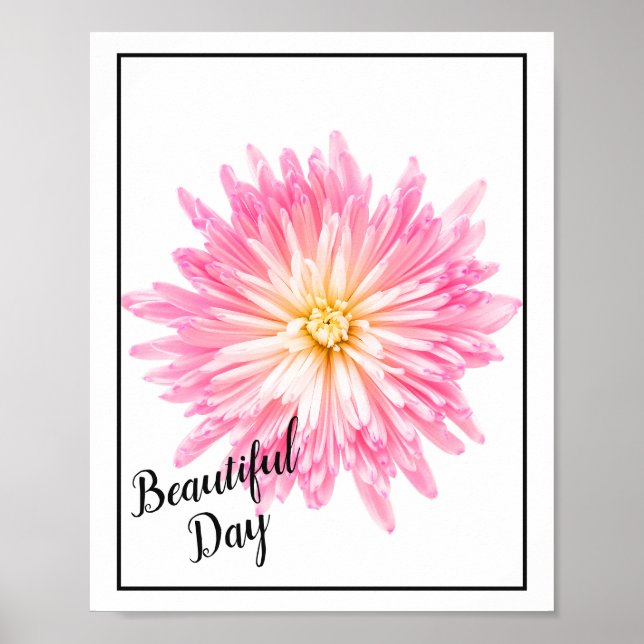 Poster-Pink Dahlia Poster (Front)
