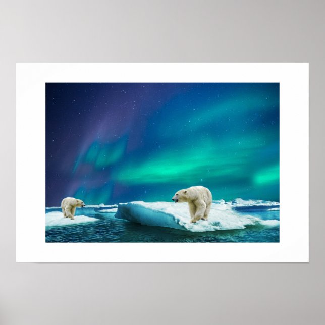 Poster-Polar Bears Poster (Front)