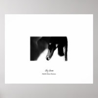 Poster, Pretty Swan, Black & White, Photography
