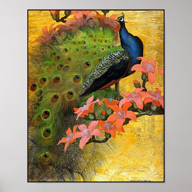 Poster Print: Blue Peacock (Front)