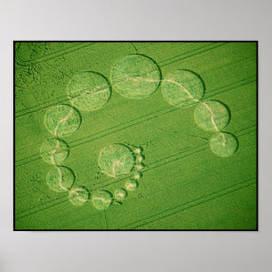 Poster Print:  Crop Circle - Single Julia