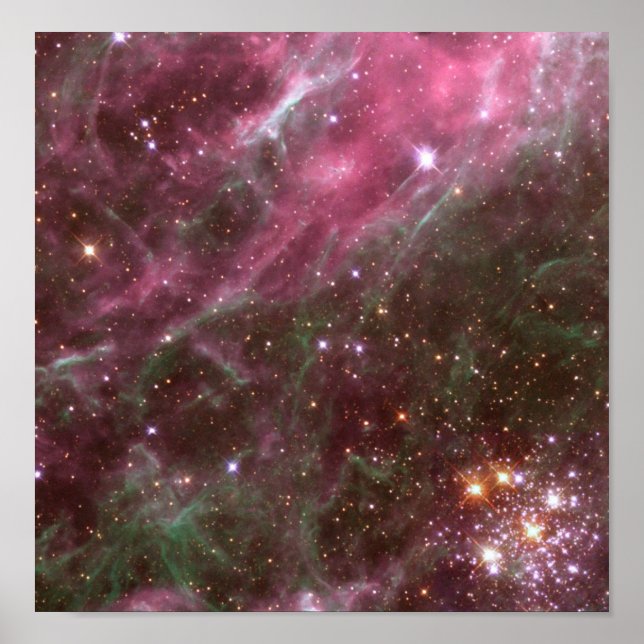Poster/Print: Stars in Nebula Poster (Front)