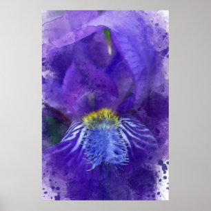Poster Purple Iris Watercolor