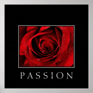 Poster-Red Rose-Passion Poster