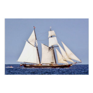 Poster Sailing