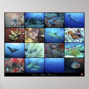 Poster Save Our Oceans