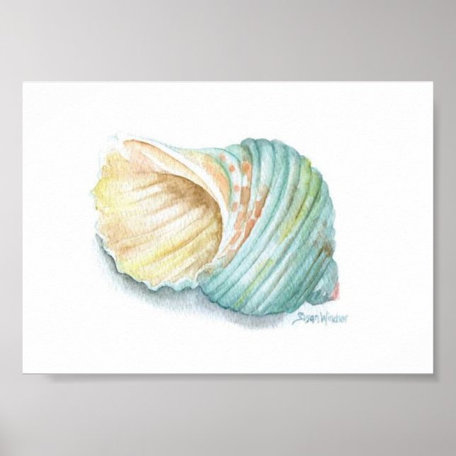 Poster - Sea Shell (Front)