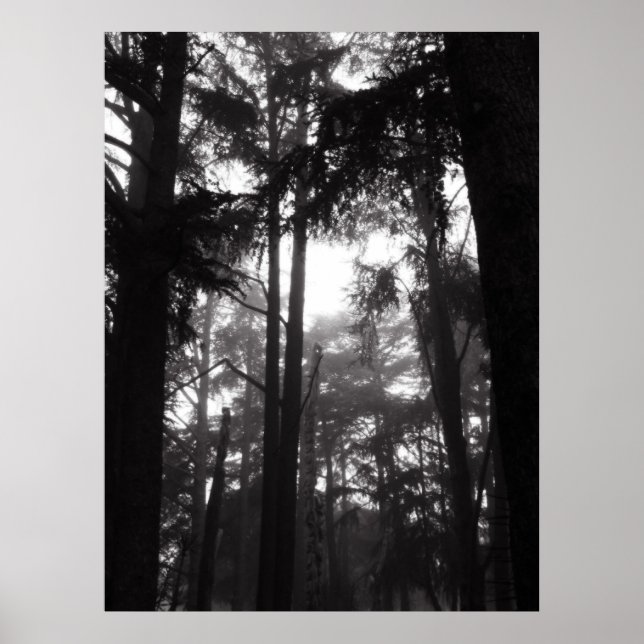 Poster - Silver Silence (Front)