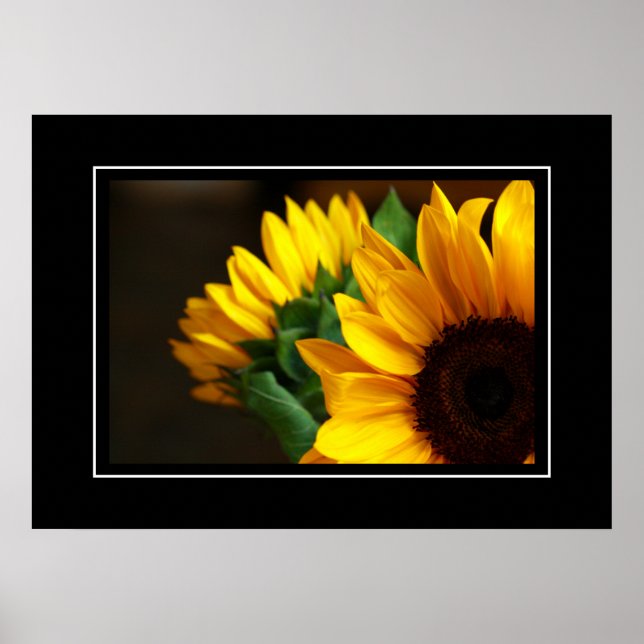 Poster Sunflowers (Front)