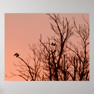 Poster - Sunrise