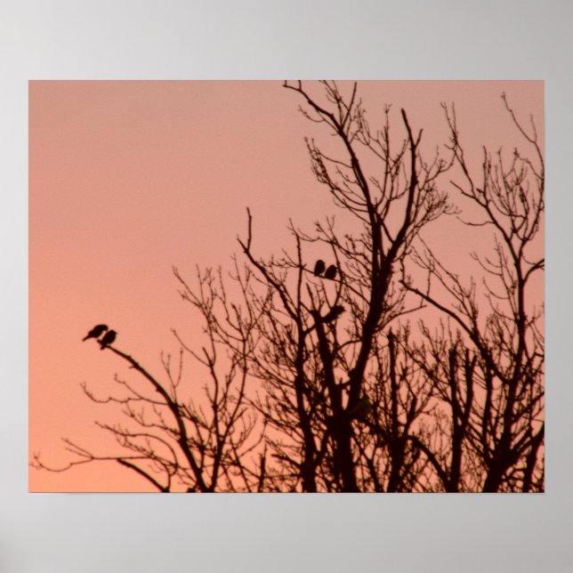 Poster - Sunrise (Front)