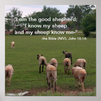 Poster/The Good Shepherd Poster