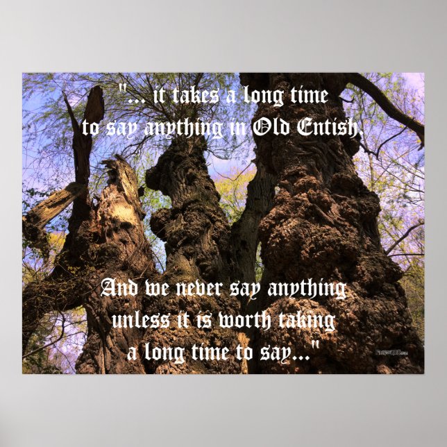 Poster - Trees of Wisdom with Ent Quote (Front)