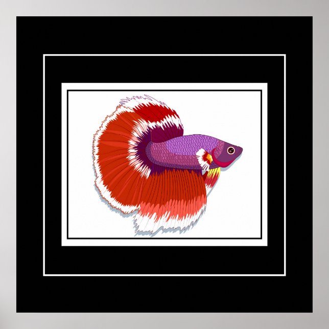 Poster-Tropical Fish Poster (Front)