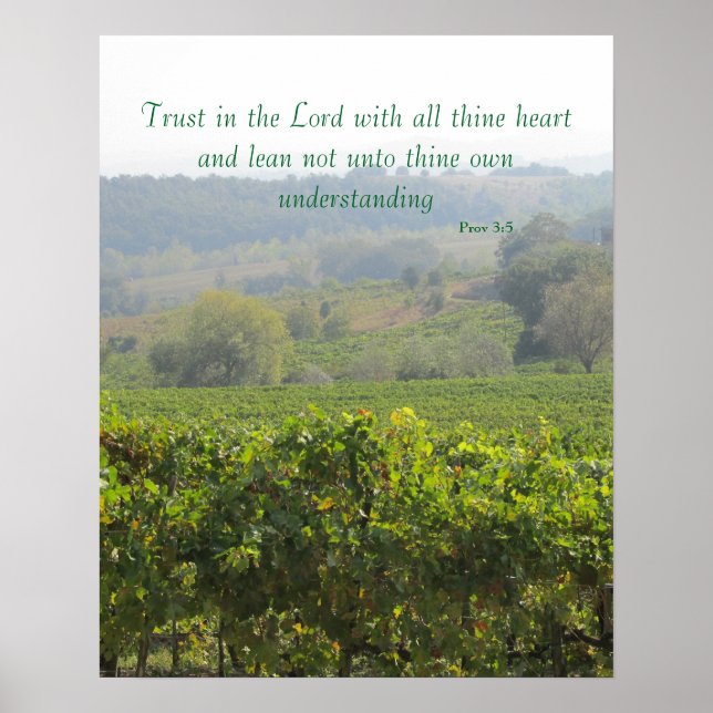 Poster--Tuscany Trust Poster (Front)