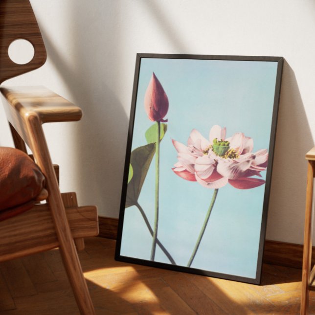 Poster Vintage fleurs de lotus (Creator Uploaded)