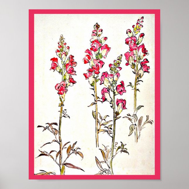 Poster-Vintage Illustration-Beatrix Potter 7 Poster (Front)