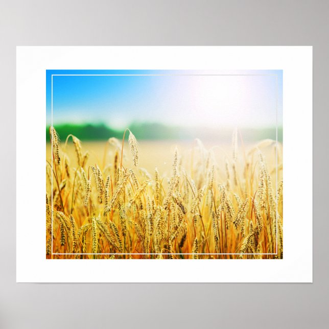 Poster-Wheat Poster (Front)