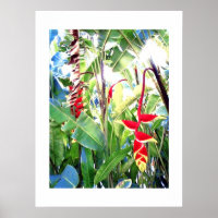 Poster white (18" x 24") The Red Flowers Bali