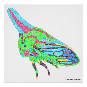 Poster (white) - Oak Treehopper