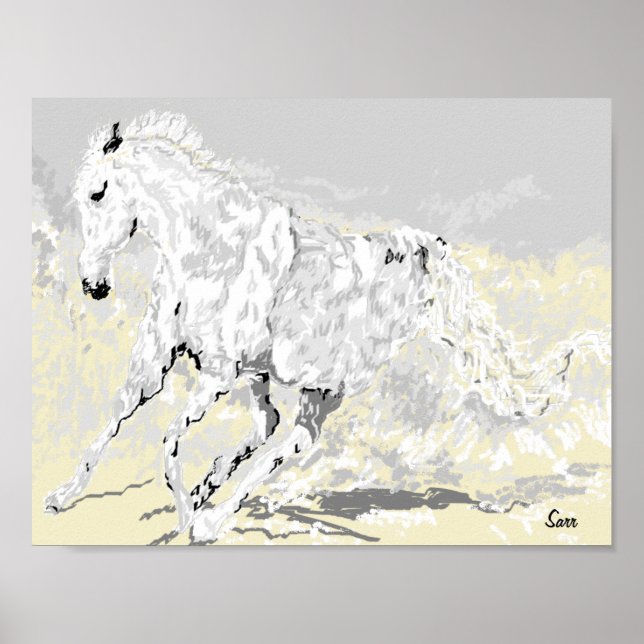 Poster : White Stallion in Motion (Front)