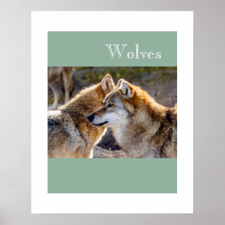 Poster-Wolves Poster