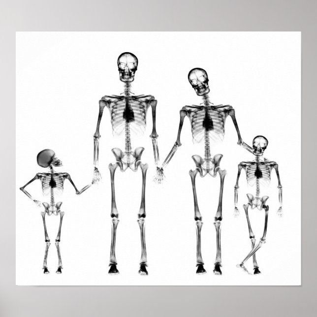 POSTER - X-RAY SKELETON FAMILY BLACK & WHITE (Front)