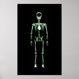 Poster - X-Ray Vision Single Skeleton Black Green