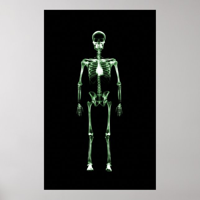 Poster - X-Ray Vision Single Skeleton Black Green (Front)