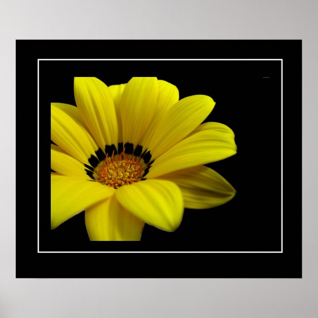 Poster-Yellow Daisy Poster (Front)