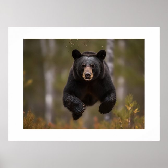 Poster Yellowstone Bear  (Front)