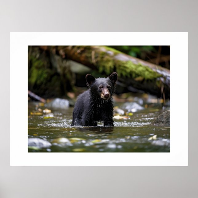 Poster Yellowstone Bear Cub (Front)