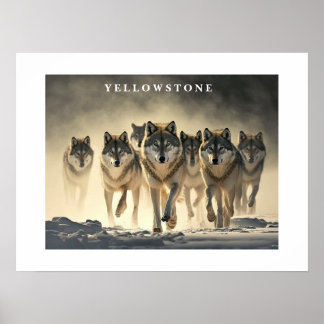Poster Yellowstone Wolves