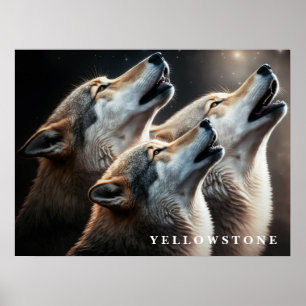 Poster Yellowstone Wolves