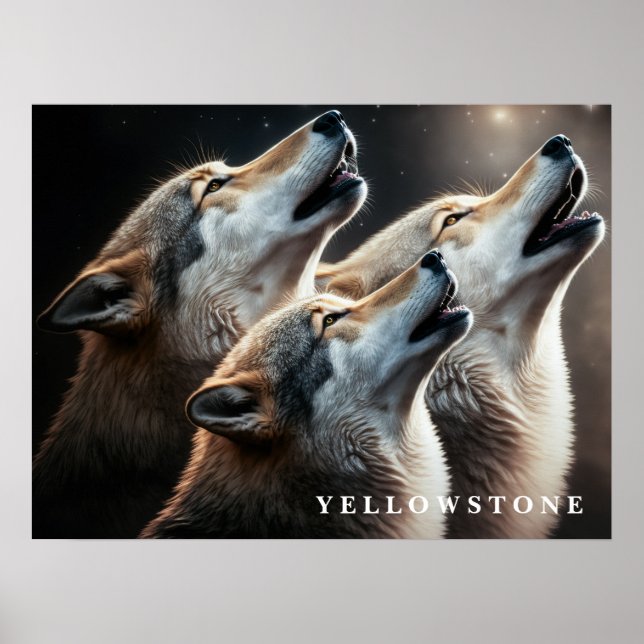Poster Yellowstone Wolves (Front)