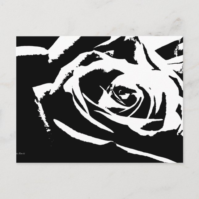 Posterised Rose Art Postcard (Front)