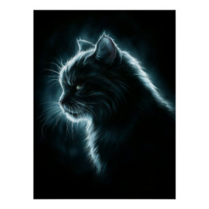 Posters Dives Cat 2