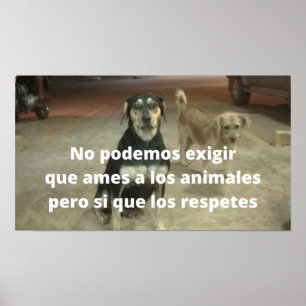 Posters on los animales