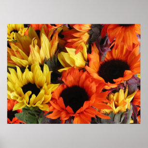 Posters, SUNFLOWERS # 1 Poster