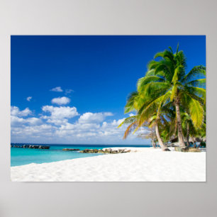 Posters - Under the Tropical Sun