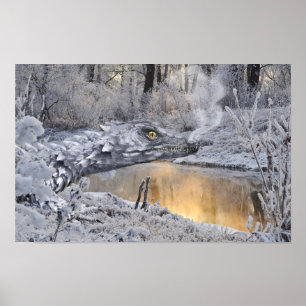 PosterWinter Dragon Poster