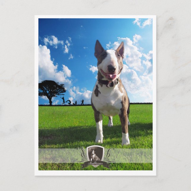 Postkarte Bullterrier Postcard (Front)
