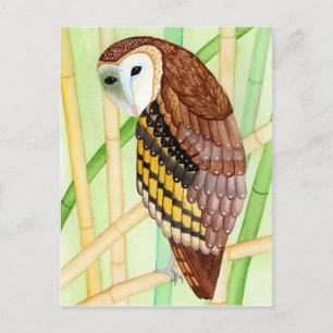Postkarte Eule Postcard