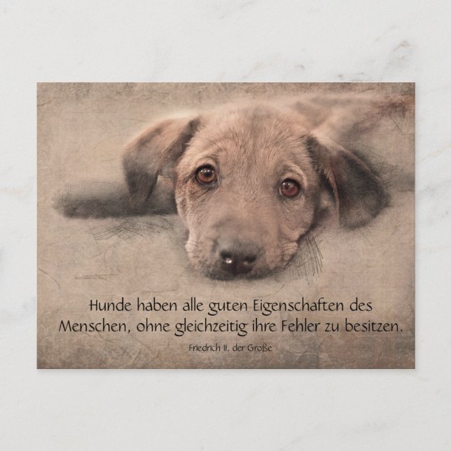 Postkarte Hundewelpe mit Zitat Postcard (Front)