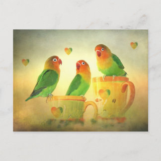 Postkarte Postcard