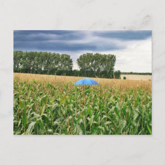 Postkarte - Qualitätskontrolle Postcard