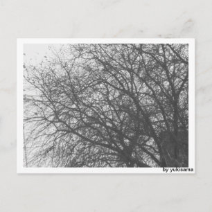 Postkarte - Winterbaum Postcard