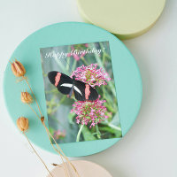 Postman Butterfly on Pink Flowers Birthday Card