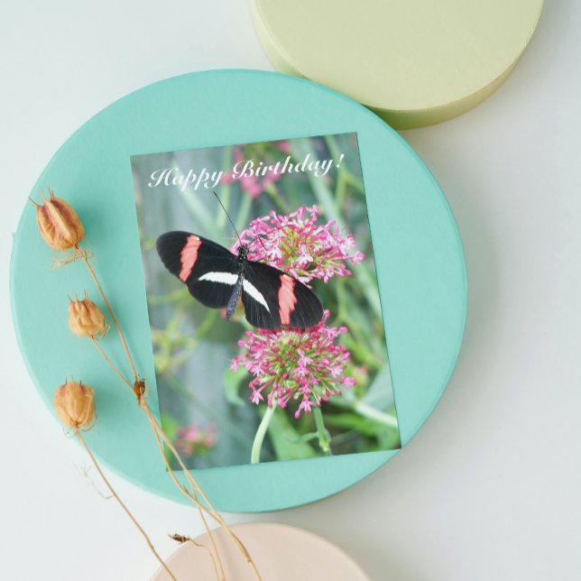 Postman Butterfly on Pink Flowers Nature Birthday Card (In Situ)