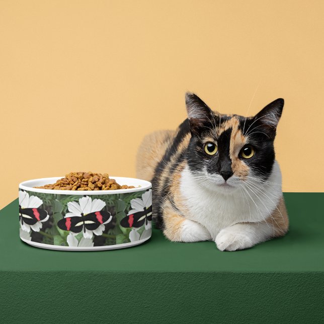 Postman Butterfly Photo Pattern Pet Bowl (In Situ)